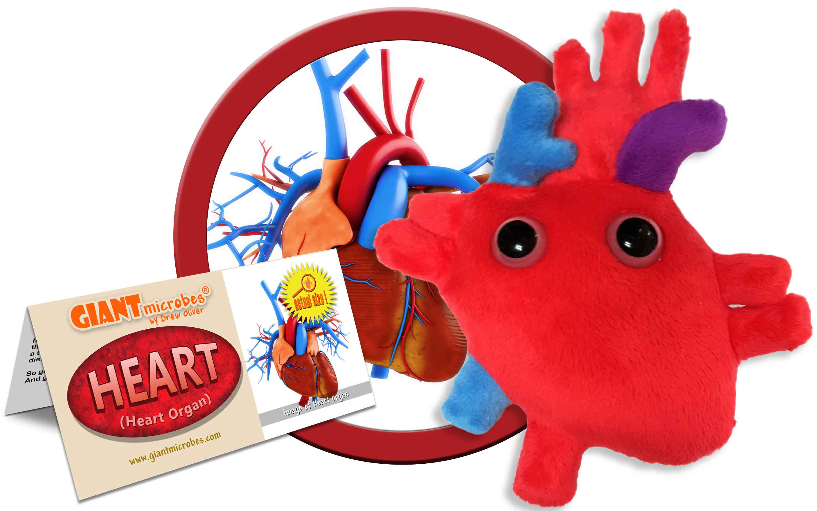 Giant Microbes Plush Heart Organ