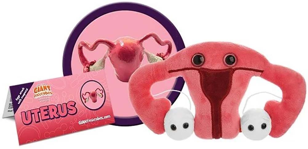 Uterus shaped stress store toy