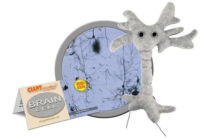 GIANTmicrobes - Brain Cell (Neuron)