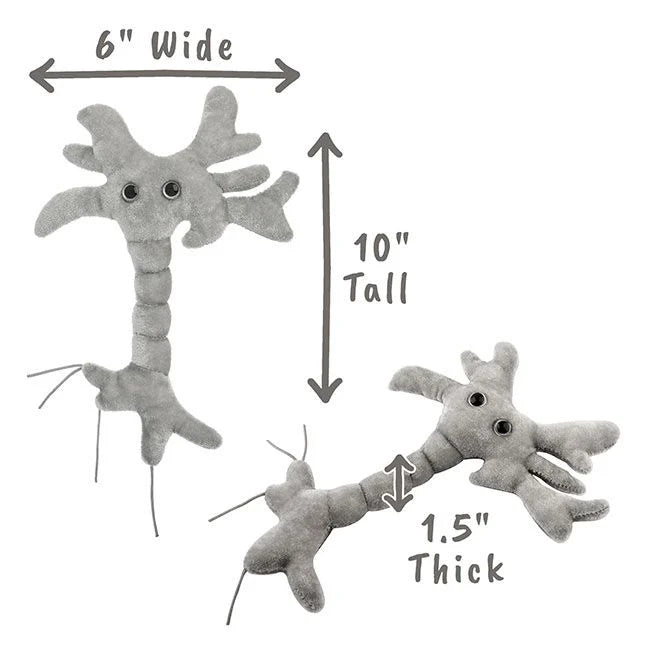 GIANTmicrobes - Brain Cell (Neuron)