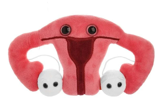 GIANTmicrobes - Uterus