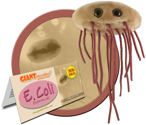 Giant Microbes Plush E. Coli Escherichia Coli