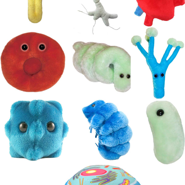 Bacteria plush toys on sale