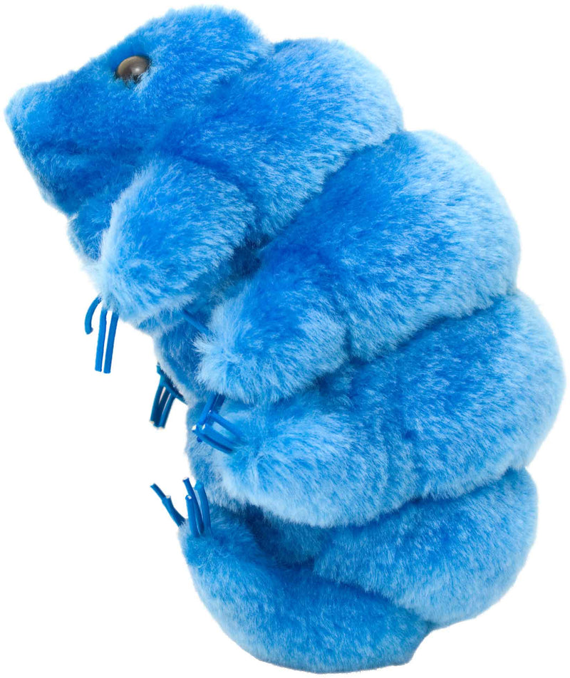 Blobfish Stuffed Animal Size 14 18 - High Quality Custom Soft Stuff Toys  Supplier